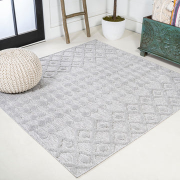 Peralta Moroccan Diamond Indoor/outdoor Area Rug
